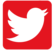 Twitter Logo